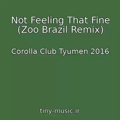 کاور آهنگ Not Feeling That Fine (Zoo Brazil Remix) از Corolla Club Tyumen 2016