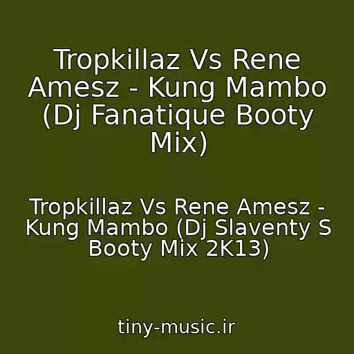 کاور آهنگ Tropkillaz Vs Rene Amesz - Kung Mambo (Dj Fanatique Booty Mix) از Tropkillaz Vs Rene Amesz - Kung Mambo (Dj Slaventy S Booty Mix 2K13)