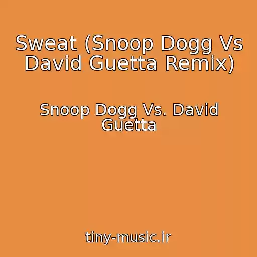 کاور آهنگ Sweat (Snoop Dogg Vs David Guetta Remix) از Snoop Dogg Vs. David Guetta