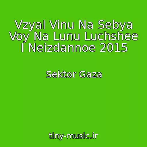 کاور آهنگ Vzyal Vinu Na Sebya Voy Na Lunu Luchshee I Neizdannoe 2015 از Sektor Gaza