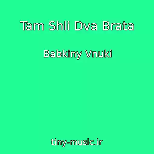 کاور آهنگ Tam Shli Dva Brata از Babkiny Vnuki
