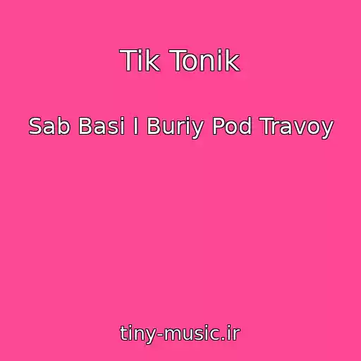 کاور آهنگ Tik Tonik از Sab Basi I Buriy Pod Travoy