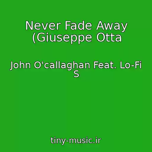 کاور آهنگ Never Fade Away (Giuseppe Otta از John O'callaghan Feat. Lo-Fi S