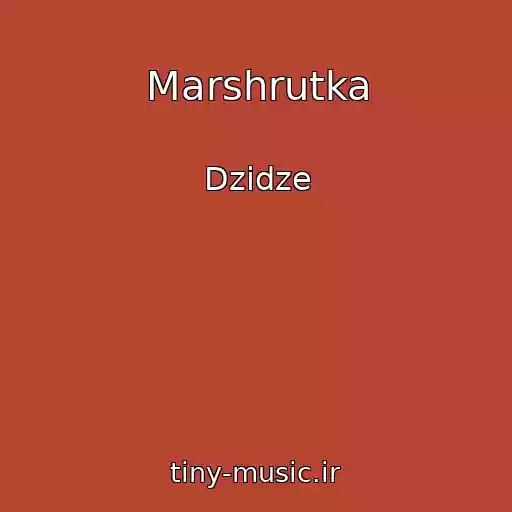کاور آهنگ Marshrutka از Dzidze