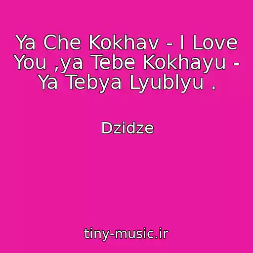 کاور آهنگ Ya Che Kokhav - I Love You ,ya Tebe Kokhayu - Ya Tebya Lyublyu . از Dzidze