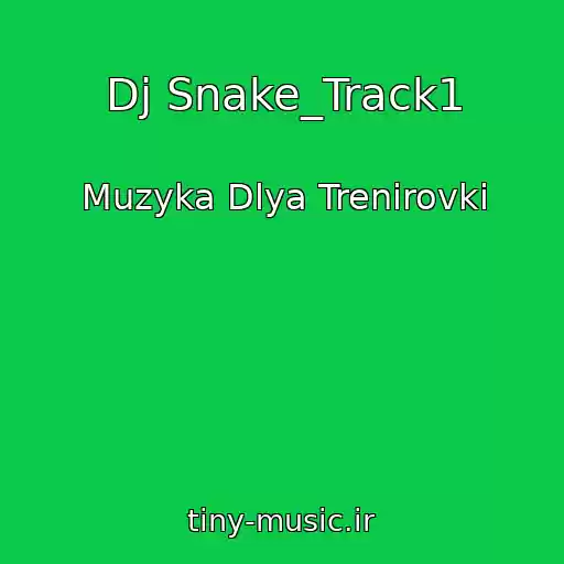 کاور آهنگ Dj Snake_Track1 از Muzyka Dlya Trenirovki