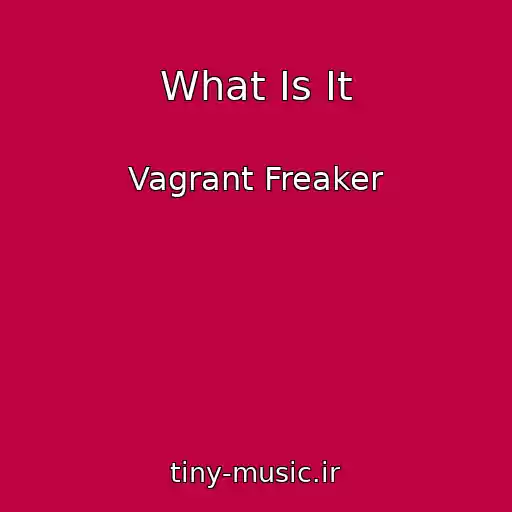 کاور آهنگ What Is It از Vagrant Freaker