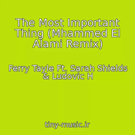 کاور آهنگ The Most Important Thing (Mhammed El Alami Remix) از Ferry Tayle Ft. Sarah Shields & Ludovic H