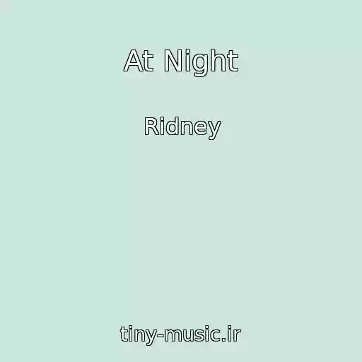 کاور آهنگ At Night از Ridney