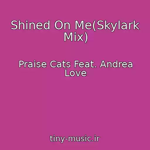 کاور آهنگ Shined On Me(Skylark Mix) از Praise Cats Feat. Andrea Love