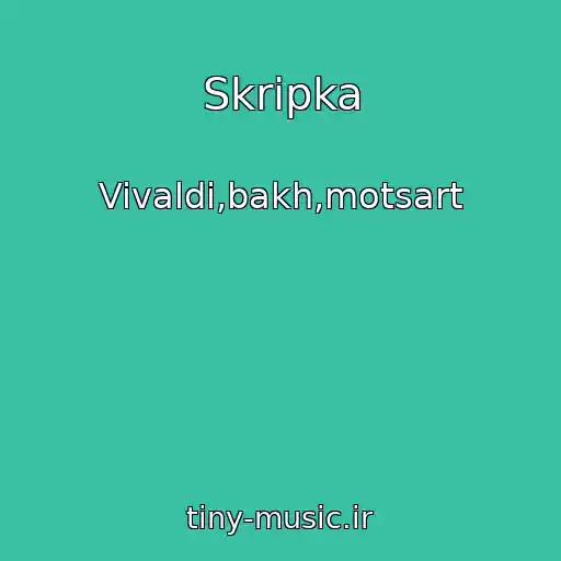کاور آهنگ Skripka از Vivaldi,bakh,motsart