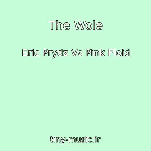 کاور آهنگ The Wole از Eric Prydz Vs Pink Floid