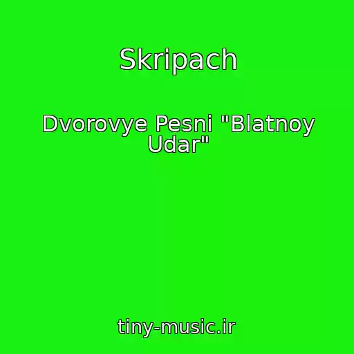 کاور آهنگ Skripach از Dvorovye Pesni "Blatnoy Udar"