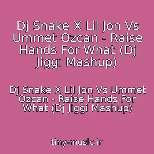 کاور آهنگ Dj Snake X Lil Jon Vs Ummet Ozcan - Raise Hands For What (Dj Jiggi Mashup) از Dj Snake X Lil Jon Vs Ummet Ozcan - Raise Hands For What (Dj Jiggi Mashup)