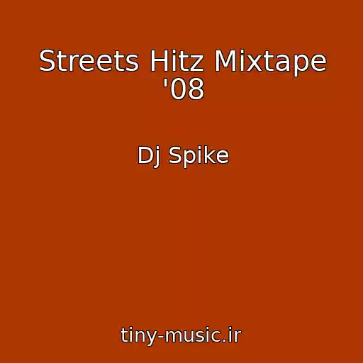 کاور آهنگ Streets Hitz Mixtape '08 از Dj Spike