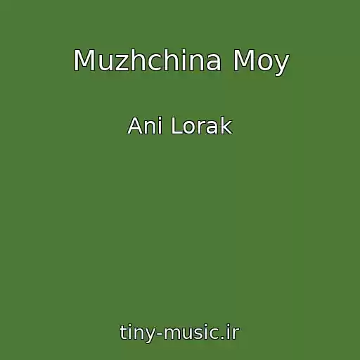 کاور آهنگ Muzhchina Moy از Ani Lorak