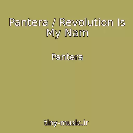 کاور آهنگ Pantera / Revolution Is My Nam از Pantera