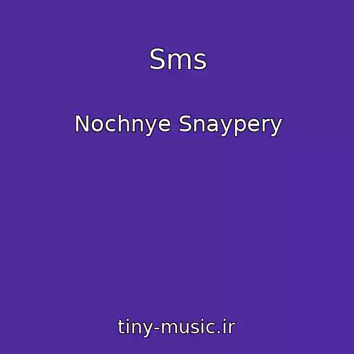 کاور آهنگ Sms از Nochnye Snaypery