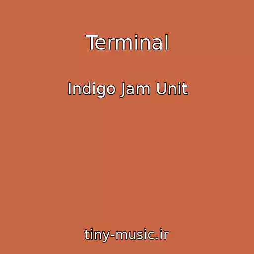 کاور آهنگ Terminal از Indigo Jam Unit