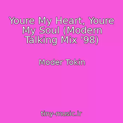 کاور آهنگ Youre My Heart, Youre My Soul (Modern Talking Mix '98) از Moder Tokin