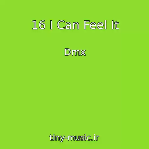 کاور آهنگ 16 I Can Feel It از Dmx