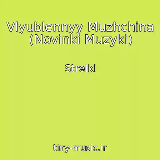 کاور آهنگ Vlyublennyy Muzhchina (Novinki Muzyki) از Strelki
