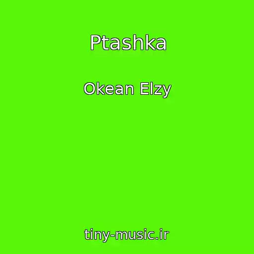 کاور آهنگ Ptashka از Okean Elzy