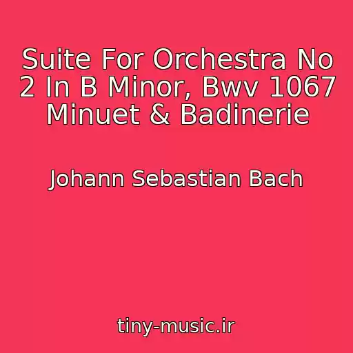 کاور آهنگ Suite For Orchestra No 2 In B Minor, Bwv 1067 Minuet & Badinerie از Johann Sebastian Bach
