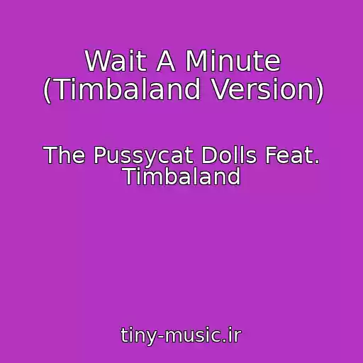 کاور آهنگ Wait A Minute (Timbaland Version) از The Pussycat Dolls Feat. Timbaland