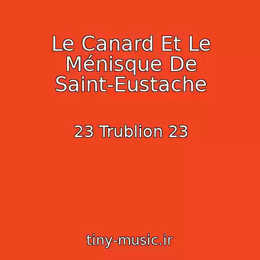 کاور آهنگ Le Canard Et Le Ménisque De Saint-Eustache از 23 Trublion 23