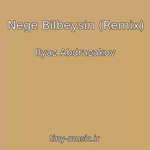 کاور آهنگ Nege Bilbeysin (Remix) از Ilyaz Abdrazakov