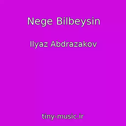 کاور آهنگ Nege Bilbeysin از Ilyaz Abdrazakov