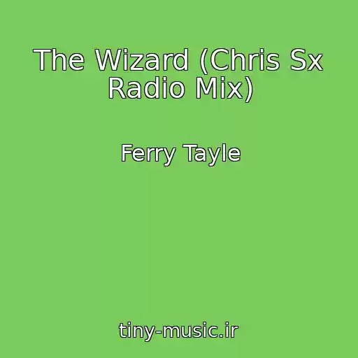 کاور آهنگ The Wizard (Chris Sx Radio Mix) از Ferry Tayle