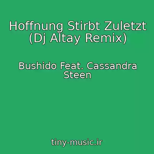 کاور آهنگ Hoffnung Stirbt Zuletzt (Dj Altay Remix) از Bushido Feat. Cassandra Steen