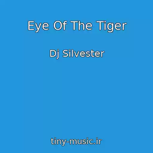 کاور آهنگ Eye Of The Tiger از Dj Silvester