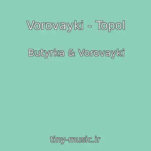 کاور آهنگ Vorovayki - Topol از Butyrka & Vorovayki
