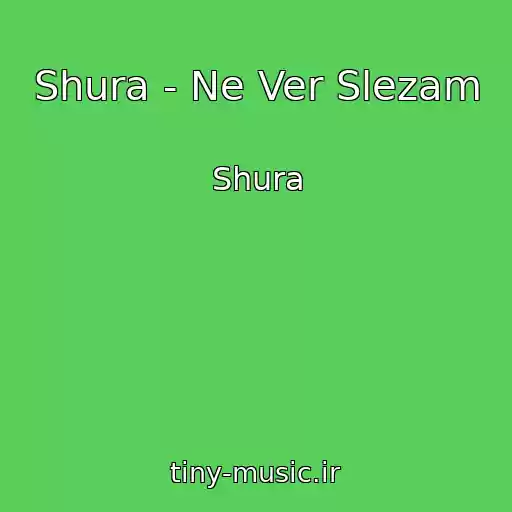 کاور آهنگ Shura - Ne Ver Slezam از Shura