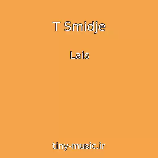 کاور آهنگ T Smidje از Lais