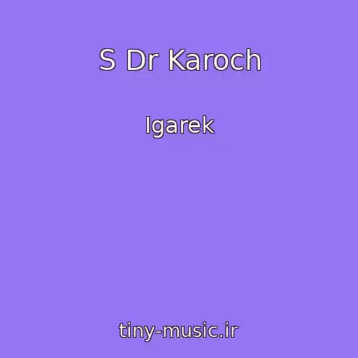 کاور آهنگ S Dr Karoch از Igarek