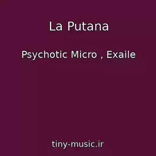 کاور آهنگ La Putana از Psychotic Micro , Exaile