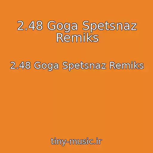 کاور آهنگ 2.48 Goga Spetsnaz Remiks از 2.48 Goga Spetsnaz Remiks