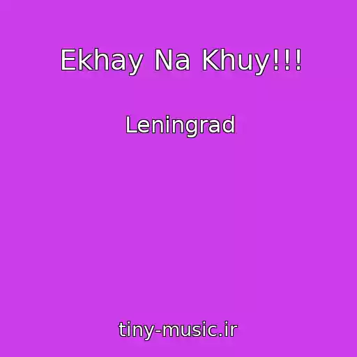 کاور آهنگ Ekhay Na Khuy!!! از Leningrad