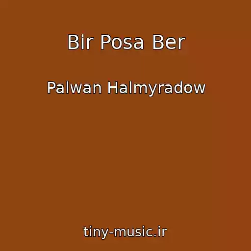 کاور آهنگ Bir Posa Ber از Palwan Halmyradow