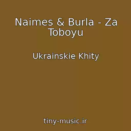 کاور آهنگ Naimes & Burla - Za Toboyu از Ukrainskie Khity