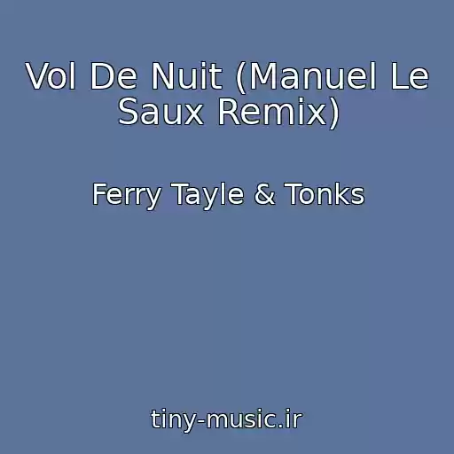 کاور آهنگ Vol De Nuit (Manuel Le Saux Remix) از Ferry Tayle & Tonks