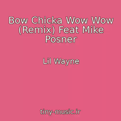 کاور آهنگ Bow Chicka Wow Wow (Remix) Feat Mike Posner از Lil Wayne