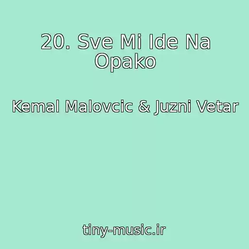 کاور آهنگ 20. Sve Mi Ide Na Opako از Kemal Malovcic & Juzni Vetar