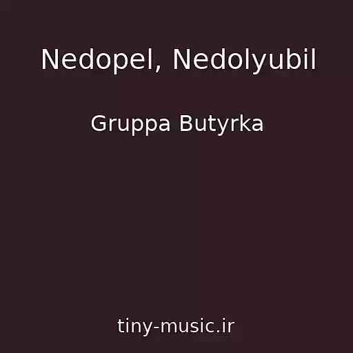 کاور آهنگ Nedopel, Nedolyubil از Gruppa Butyrka