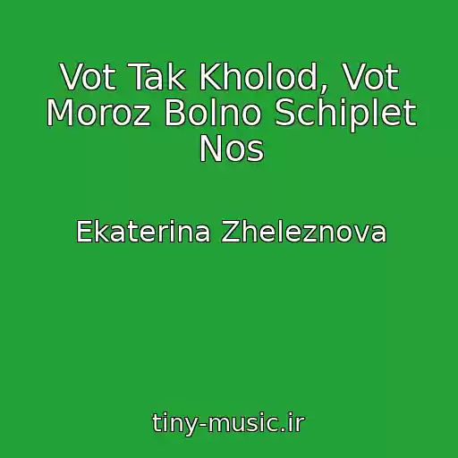 کاور آهنگ Vot Tak Kholod, Vot Moroz Bolno Schiplet Nos از Ekaterina Zheleznova