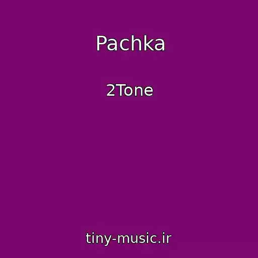 کاور آهنگ Pachka از 2Tone